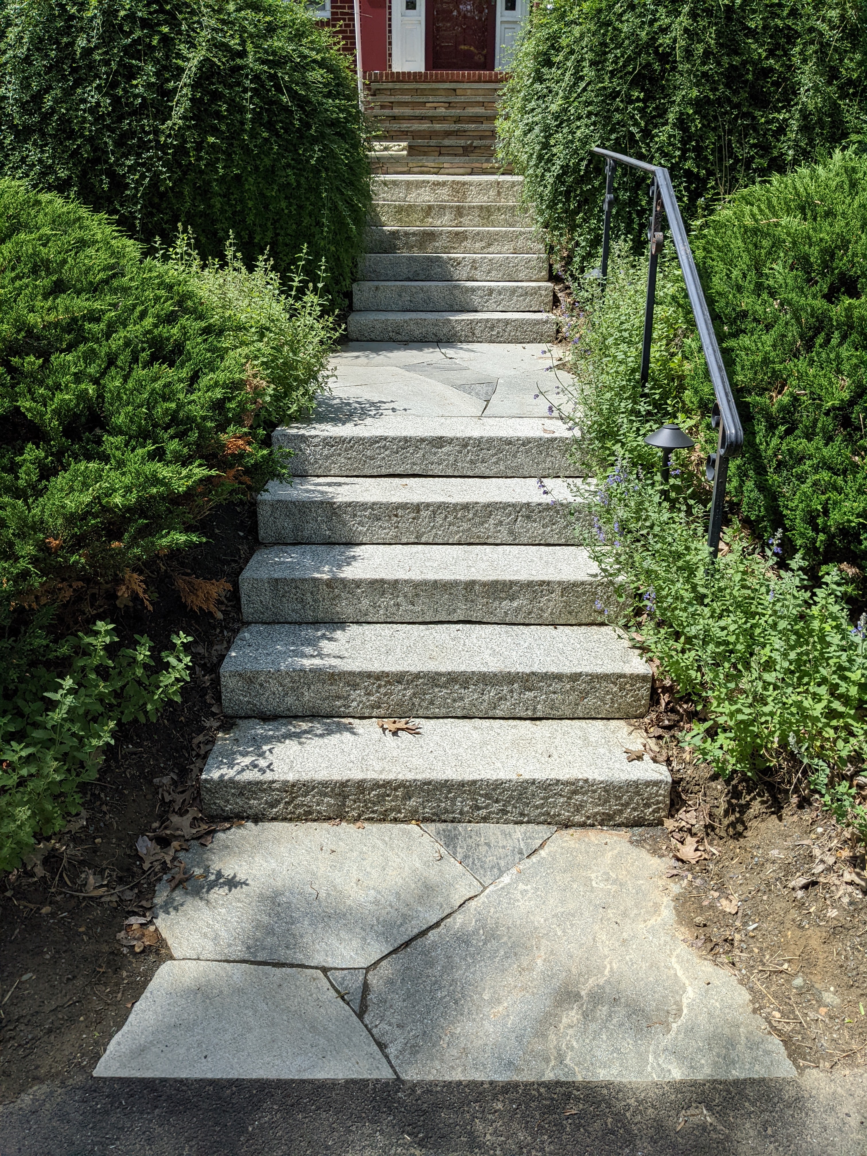 WildWorks stone steps framed by greenery